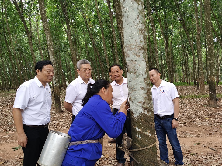 mg不朽情缘(中国区)官方网站
