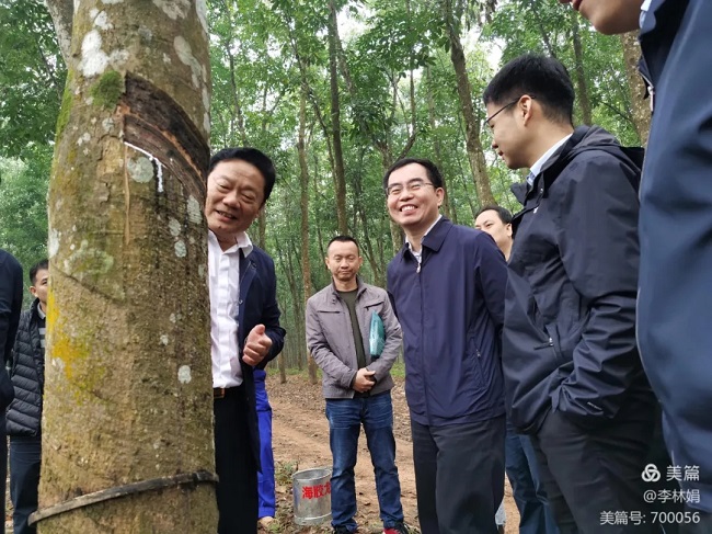 mg不朽情缘(中国区)官方网站
