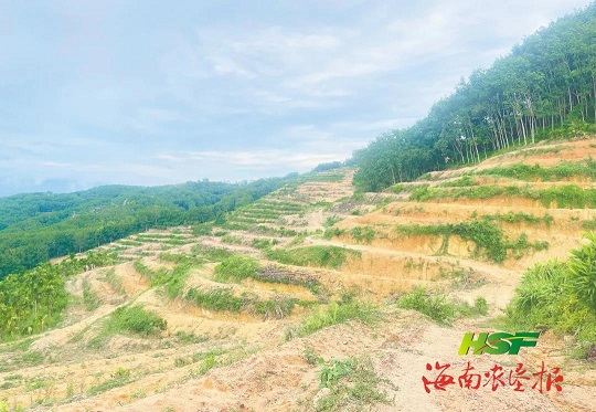 mg不朽情缘(中国区)官方网站