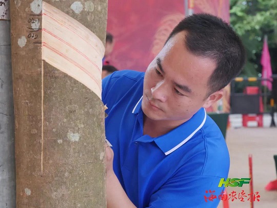 mg不朽情缘(中国区)官方网站