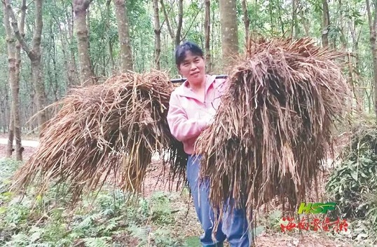 mg不朽情缘(中国区)官方网站