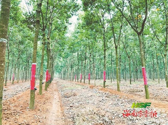 mg不朽情缘(中国区)官方网站