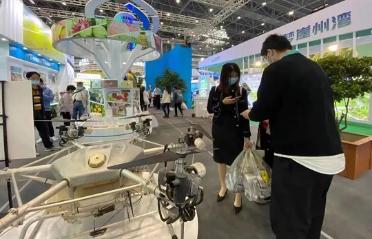 mg不朽情缘(中国区)官方网站