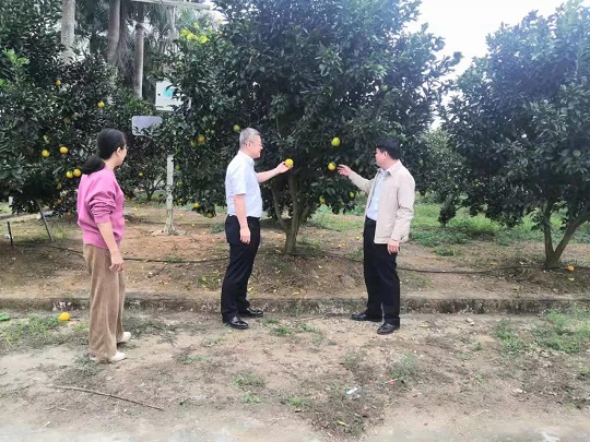 mg不朽情缘(中国区)官方网站