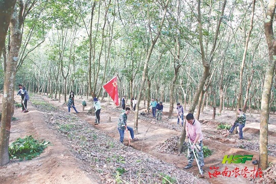 mg不朽情缘(中国区)官方网站