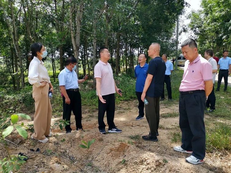mg不朽情缘(中国区)官方网站