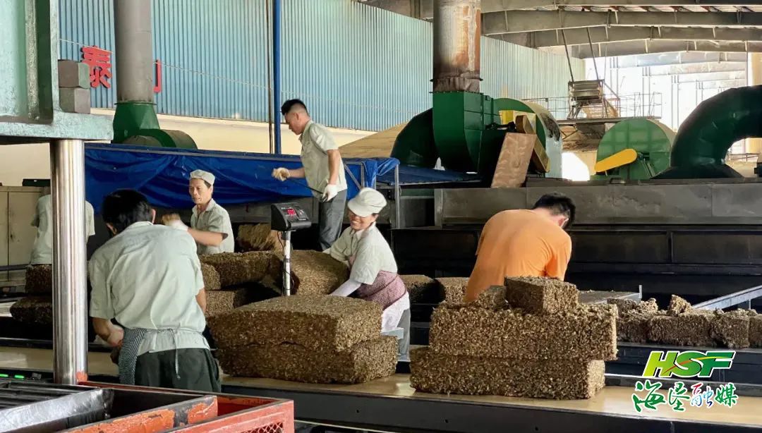 mg不朽情缘(中国区)官方网站
