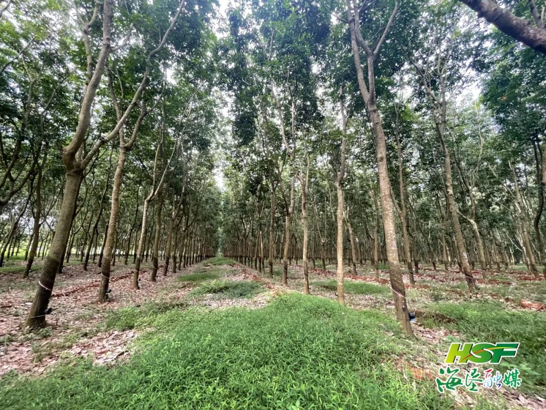 mg不朽情缘(中国区)官方网站