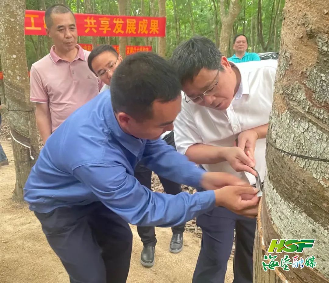 mg不朽情缘(中国区)官方网站