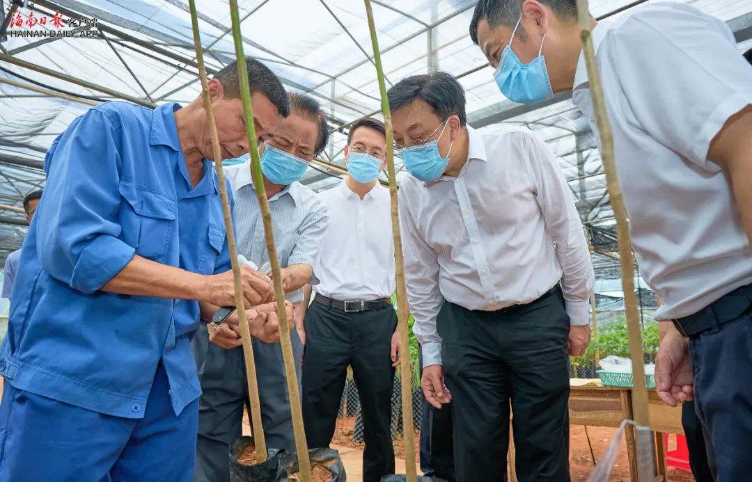 mg不朽情缘(中国区)官方网站